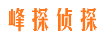 宁海市婚外情调查